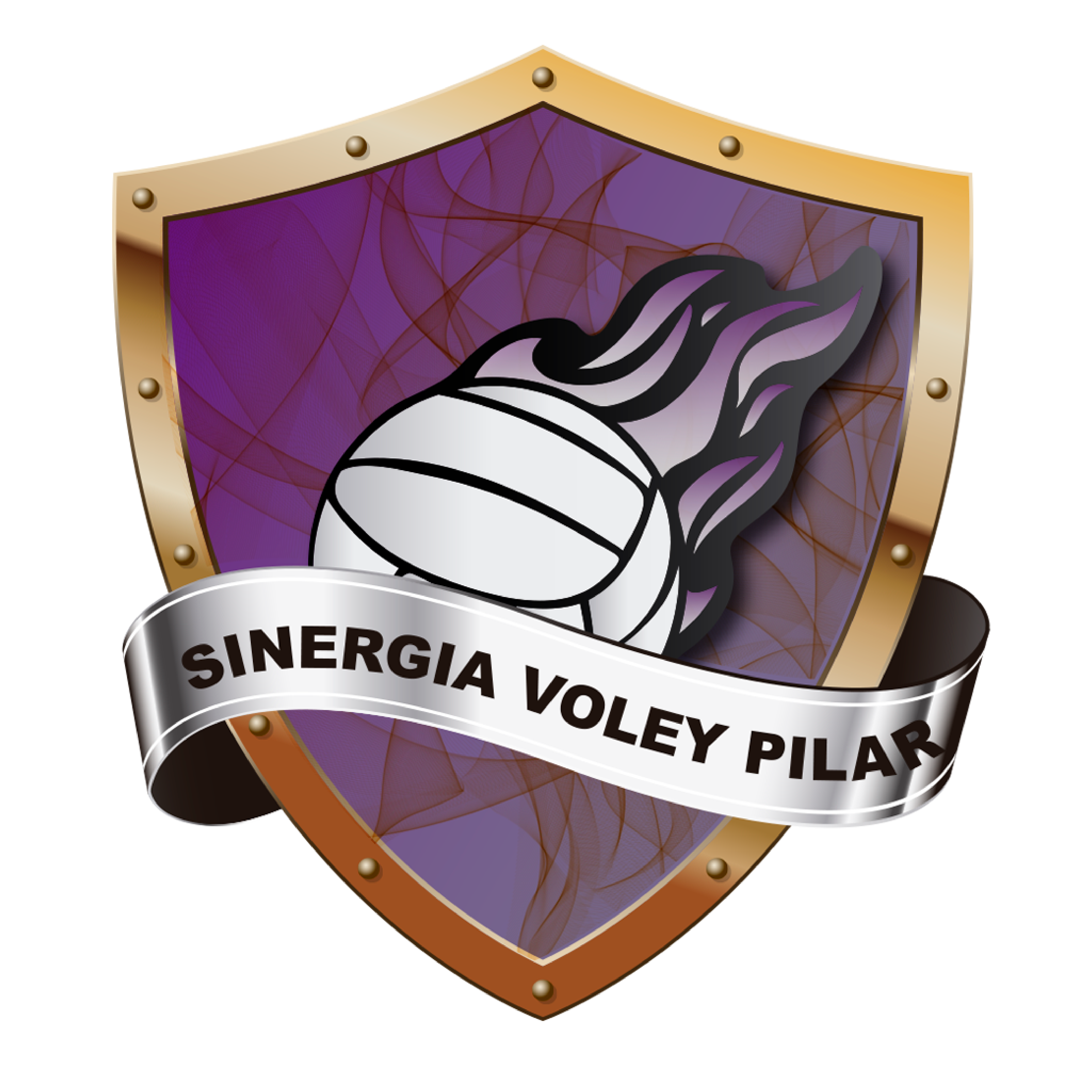 Sinergia Vóley Pilar